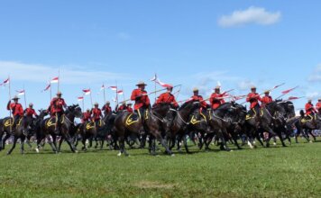 Canadian Mounties in red uniforms riding horses at an outdoor event.