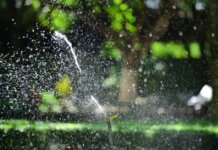 В Британской Колумбии призывают быть осторожными на воде этим летом Close-up of a garden sprinkler watering a lush green lawn with sunlight creating sparkling water droplets.