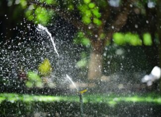 Close-up of a garden sprinkler watering a lush green lawn with sunlight creating sparkling water droplets.