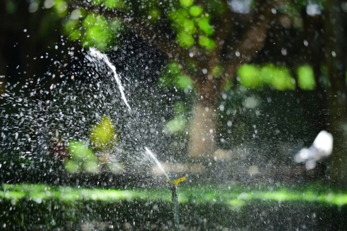 Close-up of a garden sprinkler watering a lush green lawn with sunlight creating sparkling water droplets. Close-up of a garden sprinkler watering a lush green lawn with sunlight creating sparkling water droplets.