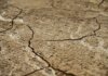 Meta начинает строительство первого дата-центра в Канаде Close-up view of dry, cracked earth texture with intricate patterns.
