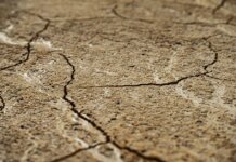 Meta начинает строительство первого дата-центра в Канаде Close-up view of dry, cracked earth texture with intricate patterns.