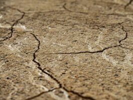 Close-up view of dry, cracked earth texture with intricate patterns.