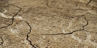 Close-up view of dry, cracked earth texture with intricate patterns.