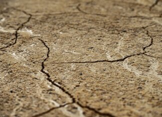 Meta начинает строительство первого дата-центра в Канаде Close-up view of dry, cracked earth texture with intricate patterns.