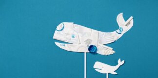 Conceptual image of a whale shape made from recycled plastic on a bright blue background.