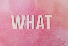 Пьер Пуалиевр требует от Карни раскрыть детали сделки по мосту Creative pink background with the word 'WHAT' in bold white letters.