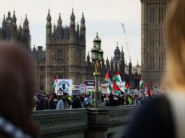Crowd protesting on Westminster Bridge, London against Gaza conflict, waving Palestinian flags.
