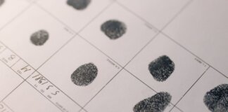 Detailed fingerprints on official document, highlighting identity verification process.