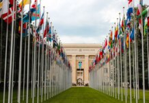 Канада объявила о новых дипломатических назначениях From below of various flags on flagpoles located in green park in front of entrance to the UN headquarters in Geneva