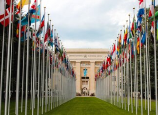 From below of various flags on flagpoles located in green park in front of entrance to the UN headquarters in Geneva