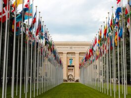From below of various flags on flagpoles located in green park in front of entrance to the UN headquarters in Geneva