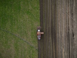 Канада представила Национальную стратегию продовольственной безопасности
