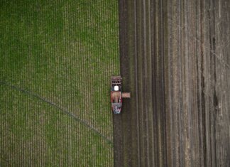Канада представила Национальную стратегию продовольственной безопасности Канада представила Национальную стратегию продовольственной безопасности