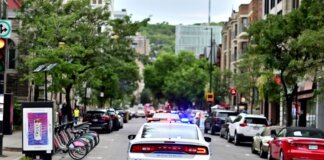 Police car driving through urban street lined with trees and parked bicycles.