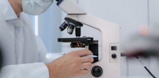 Researcher analyzing samples with a microscope in a lab setting.