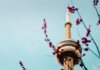 Сделано в Ватерлоо: почему будущее робототехники строится в Канаде The CN Tower stands tall against a clear blue sky with cherry blossoms framing the view.