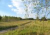 Calgary: где в августе 2026 года установят камеры фотофиксации Tranquil summer landscape with birch trees, open fields, and a winding path.