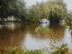A car struggles through a flooded street surrounded by trees after a heavy rainstorm.
