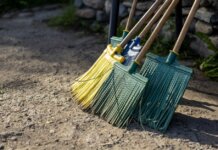 A group of colorful brooms standing on a dirt path outdoors, perfect for cleaning themes.