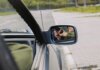 В Канаде перехвачено 392 украденных автомобиля на $28 млн A person with a gun captured in the car's side mirror, suggesting a mysterious scenario.