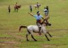 A traditional horseman performs in a lively outdoor setting.