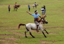 A traditional horseman performs in a lively outdoor setting.