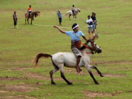 A traditional horseman performs in a lively outdoor setting.
