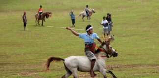 В Форт-Мак-Мюррее объявят о финансировании спорта для коренных народов A traditional horseman performs in a lively outdoor setting.
