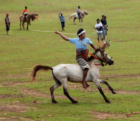 A traditional horseman performs in a lively outdoor setting.