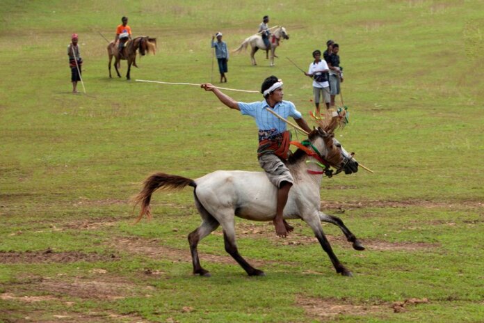 A traditional horseman performs in a lively outdoor setting. A traditional horseman performs in a lively outdoor setting.