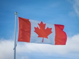 A vibrant Canadian flag waving in the breeze against a bright blue sky, symbolizing national pride.