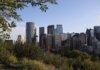 A vibrant view of Calgary's skyline with modern skyscrapers framed by greenery under a clear sky.