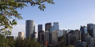 A vibrant view of Calgary's skyline with modern skyscrapers framed by greenery under a clear sky.