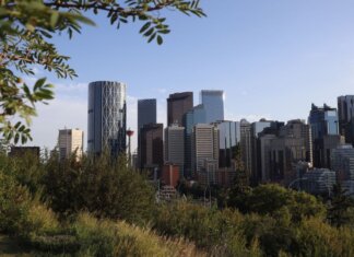 Из Калгари в Сантьяго: как финансирование открыло дорогу голболу A vibrant view of Calgary's skyline with modern skyscrapers framed by greenery under a clear sky.