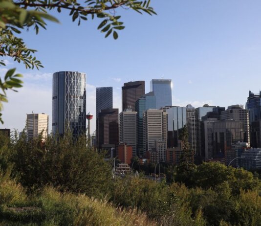A vibrant view of Calgary's skyline with modern skyscrapers framed by greenery under a clear sky.