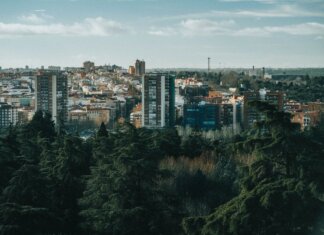 Калгари предлагает повысить тариф на газовую франшизу с 2027 года Aerial view of a city with high-rise buildings and lush trees in the foreground.