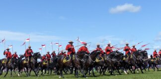 Canadian Mounties in red uniforms riding horses at an outdoor event.