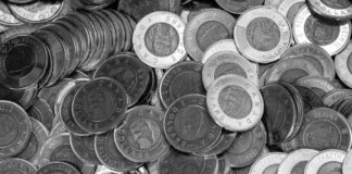 Close-up of Canadian coins in a monochrome color scheme, depicting wealth and currency.