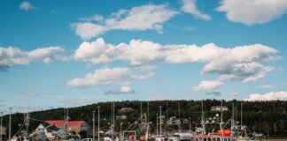Colorful fishing boats docked in a tranquil harbor in New Brunswick, Canada, on a sunny day.