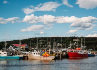 Colorful fishing boats docked in a tranquil harbor in New Brunswick, Canada, on a sunny day.