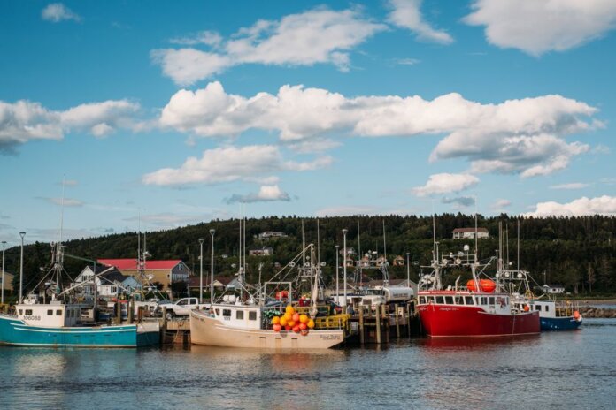 Colorful fishing boats docked in a tranquil harbor in New Brunswick, Canada, on a sunny day. Colorful fishing boats docked in a tranquil harbor in New Brunswick, Canada, on a sunny day.