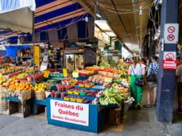 Explore a bustling street market in Quebec City showcasing fresh fruits and vegetables.