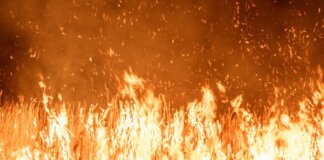 Intense flames and smoke rise from a grass fire during twilight, creating a dramatic scene.