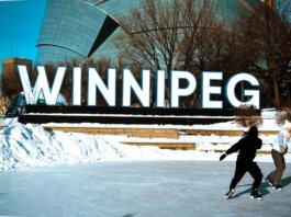 People ice skating in front of the iconic Winnipeg sign on a sunny winter day.