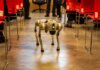 Лидерство Канады в сфере ИИ — в центре внимания конференции ALL IN 2026 A robotic dog navigates an indoor setting amidst red chairs, showcasing technology in modern environments.