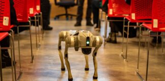 A robotic dog navigates an indoor setting amidst red chairs, showcasing technology in modern environments.
