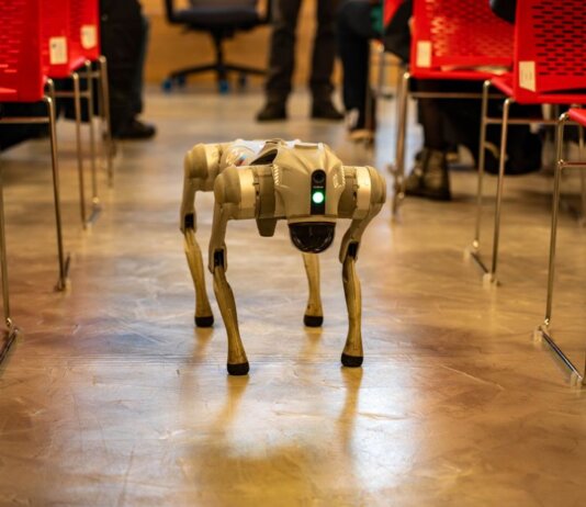 A robotic dog navigates an indoor setting amidst red chairs, showcasing technology in modern environments.