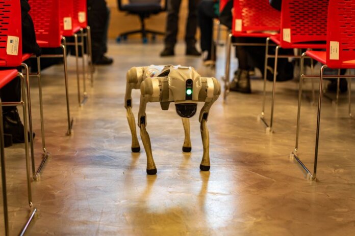 A robotic dog navigates an indoor setting amidst red chairs, showcasing technology in modern environments. A robotic dog navigates an indoor setting amidst red chairs, showcasing technology in modern environments.