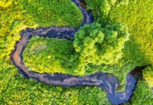 A stunning aerial view of a winding river surrounded by lush green forests in Minnesota.